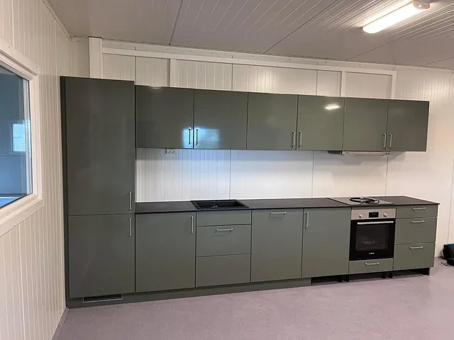 Moderne kjøkken med grønne skap